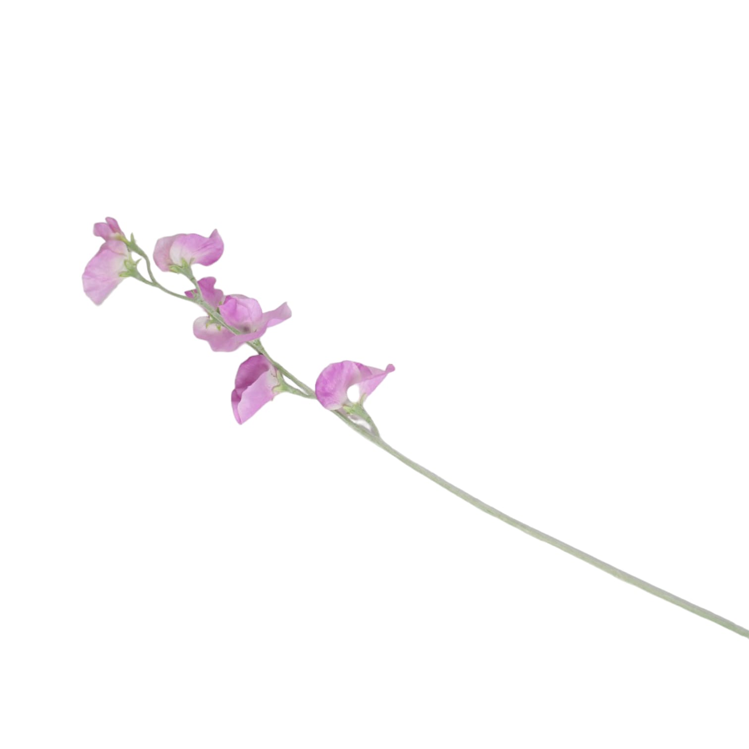 Flores rosas de 10x10x64 - Galerías el Triunfo - 025072097153