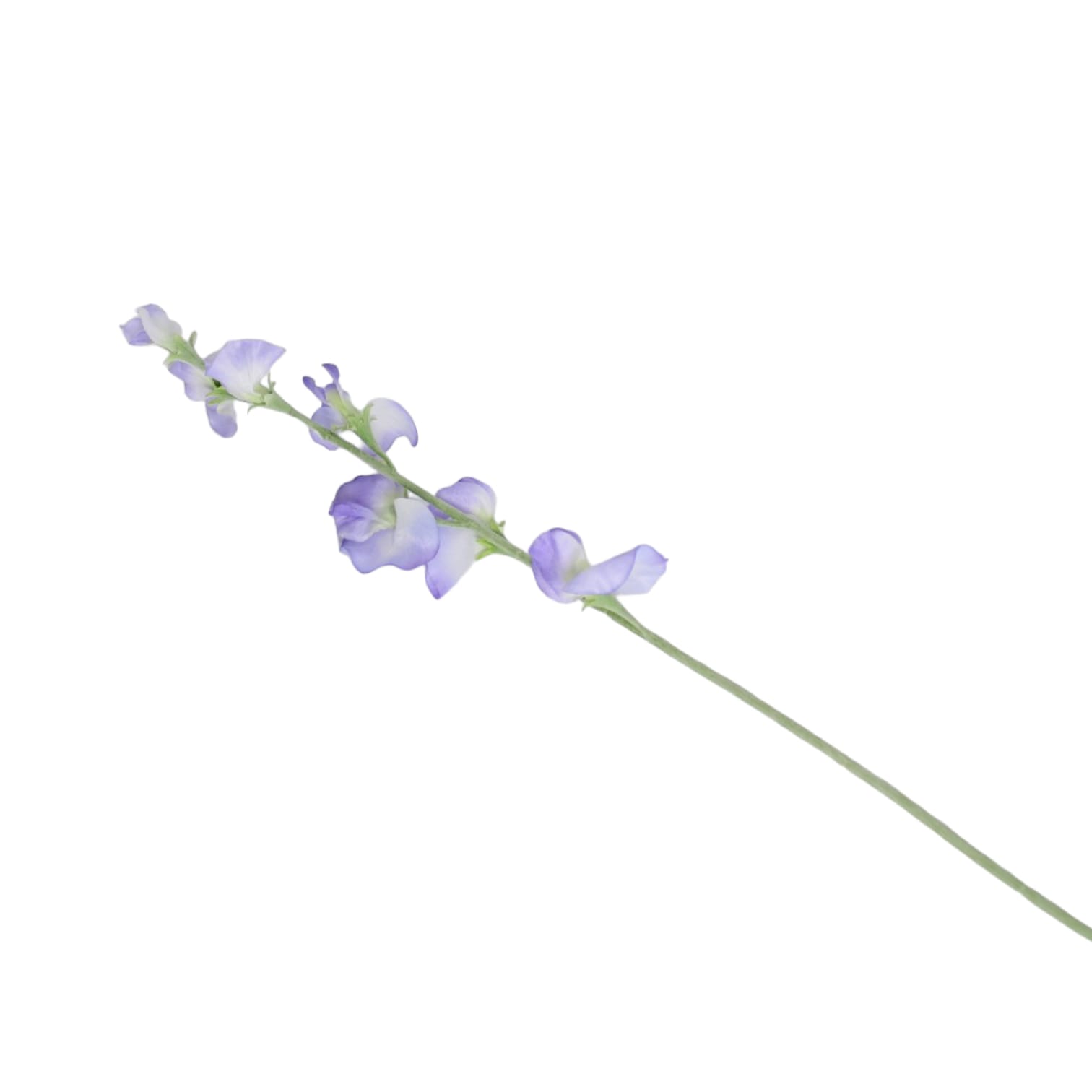 Flores lilas de 10x10x64 - Galerías el Triunfo - 025072097154