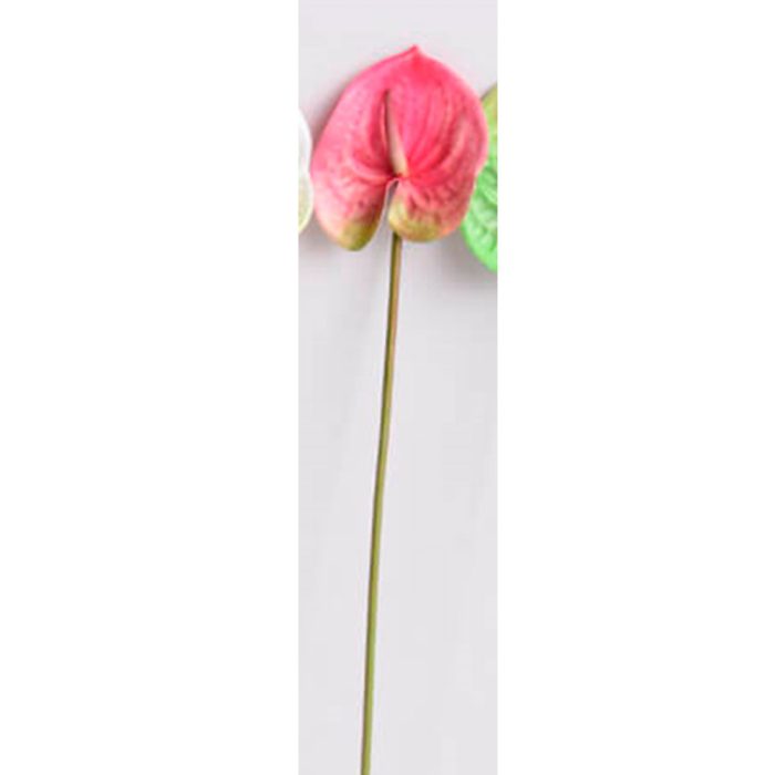 Flor de anturio rosa - Galerías el Triunfo - 025072097163