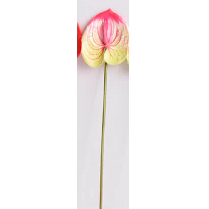 Flor de anturio rosa - Galerías el Triunfo - 025072097164
