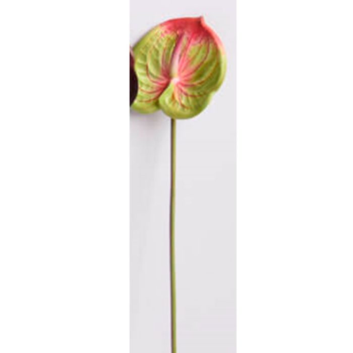 Flor de anturio verde - Galerías el Triunfo - 025072097167