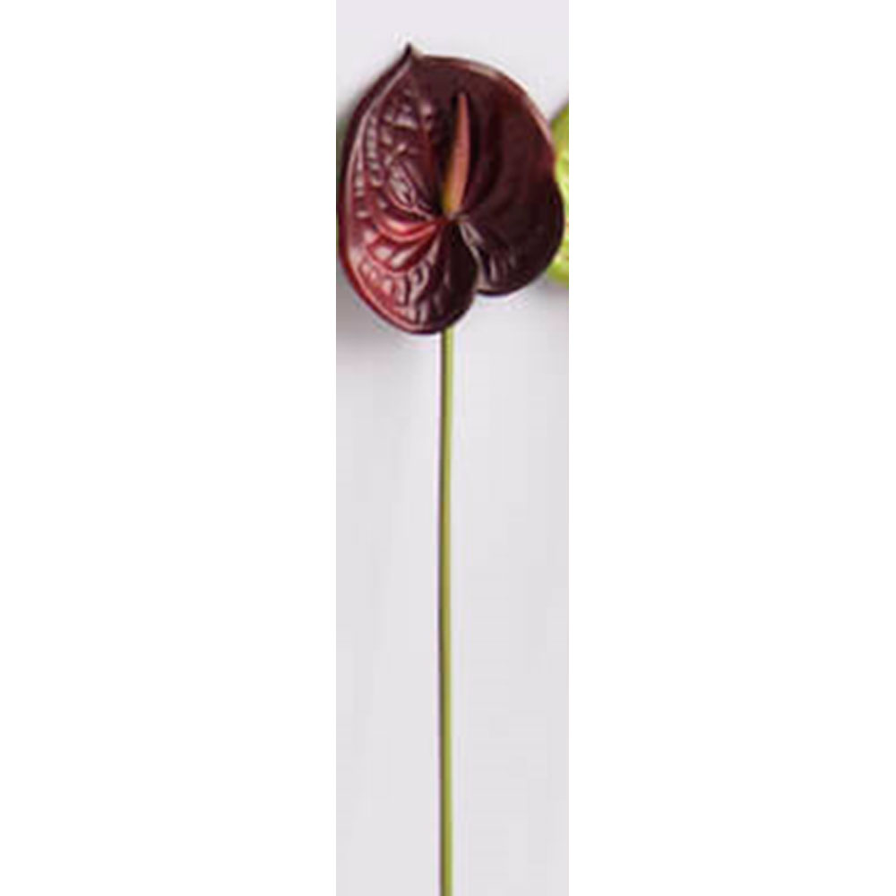 Flor de anturio vino - Galerías el Triunfo - 025072097168