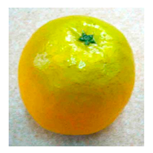 Naranja - Galerías el Triunfo - 028071005005