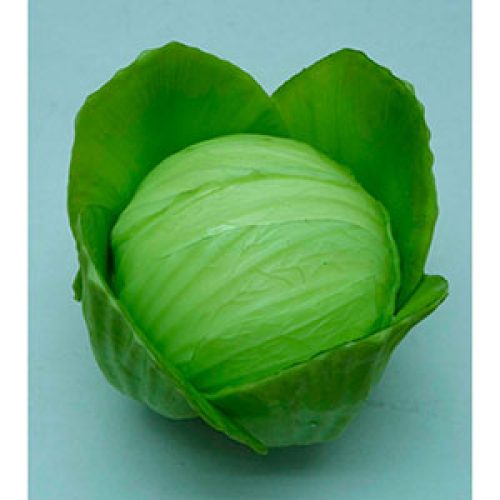 Lechuga redonda verde - Galerías el Triunfo - 028071005162