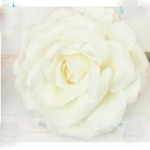 Flor con 3 rosas - Galerías el Triunfo - 028071005178