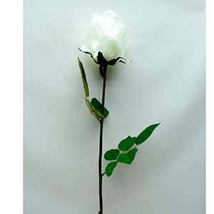Flor con rosa blanca - Galerías el Triunfo - 028071005179