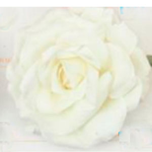 Flor con rosa blanca - Galerías el Triunfo - 028071005183