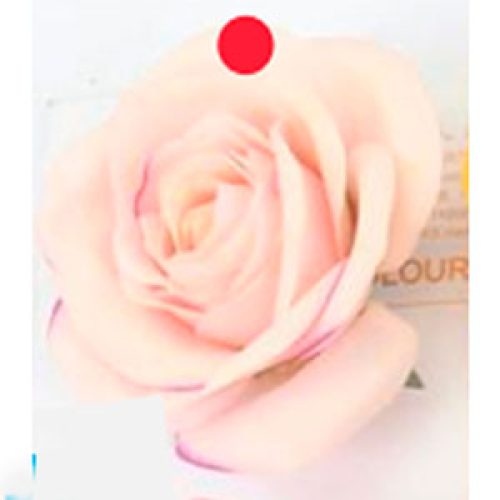 Vara con rosa color - Galerías el Triunfo - 028071005185