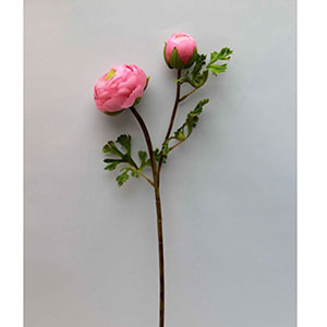 Flor de peonia rosa - Galerías el Triunfo - 028071005190