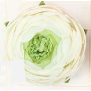 Flor de peonia blanca - Galerías el Triunfo - 028071005191