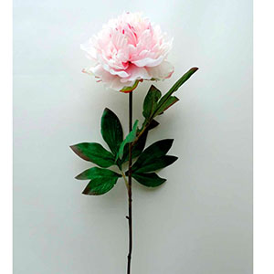 Vara con flor rosa - Galerías el Triunfo - 028071005196