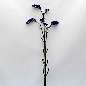 Vara con flor caspia - Galerías el Triunfo - 028071005213