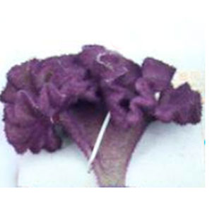 Vara con flor morada - Galerías el Triunfo - 028071005219