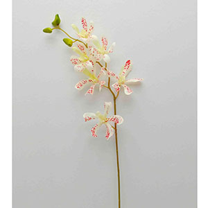 Vara con flor - Galerías el Triunfo - 028071005220