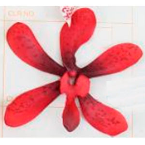 Vara con flor - Galerías el Triunfo - 028071005222