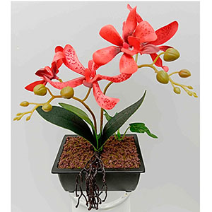 Maceta con flor roja - Galerías el Triunfo - 028071005225