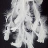 Vara de plumas blancas - Image 2