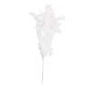 Vara de plumas blancas - Galerías el Triunfo - 044071816169