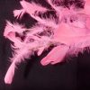 Vara de plumas rosa - Image 2