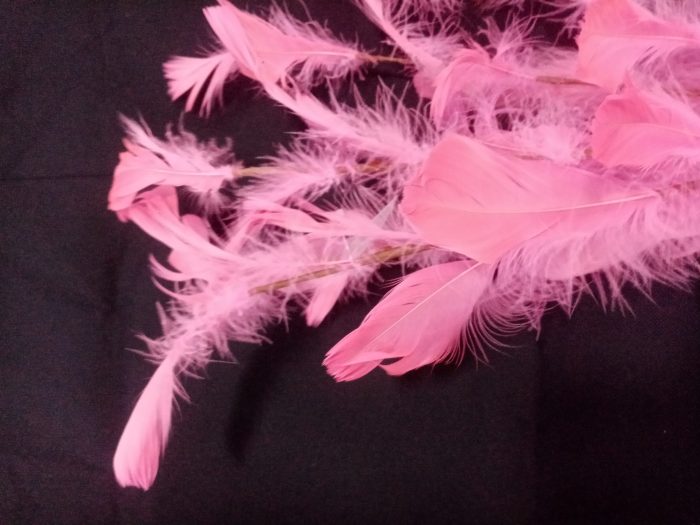 Vara de plumas rosa - Image 2