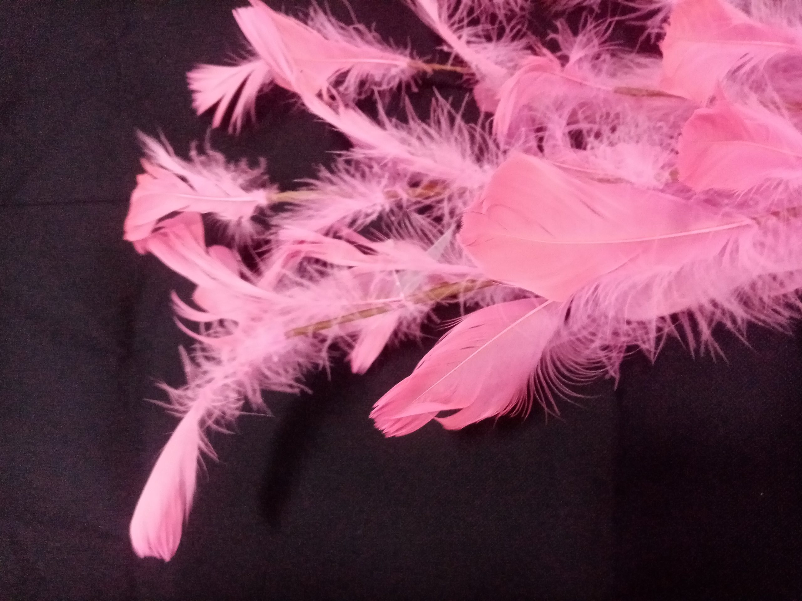 Vara de plumas rosa - Galerías el Triunfo