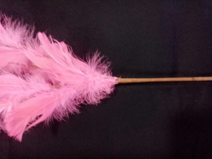 Vara de plumas rosa - Image 3