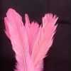 Pick de plumas rosa - Image 2