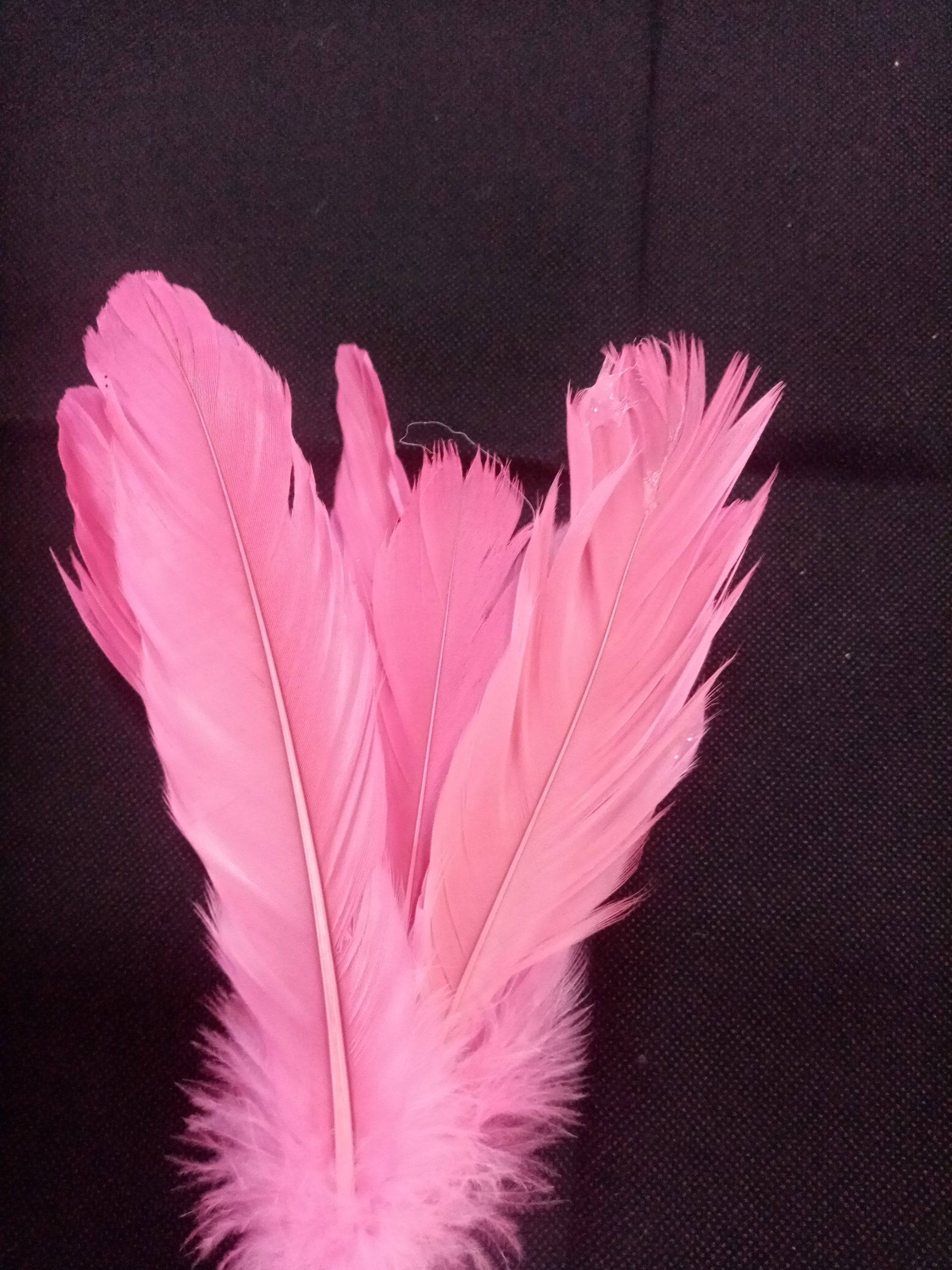 Pick de plumas rosa - Galerías el Triunfo