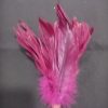 Pick de plumas vino - Image 2
