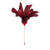 Pick de plumas vino - Galerías el Triunfo - 044071816176