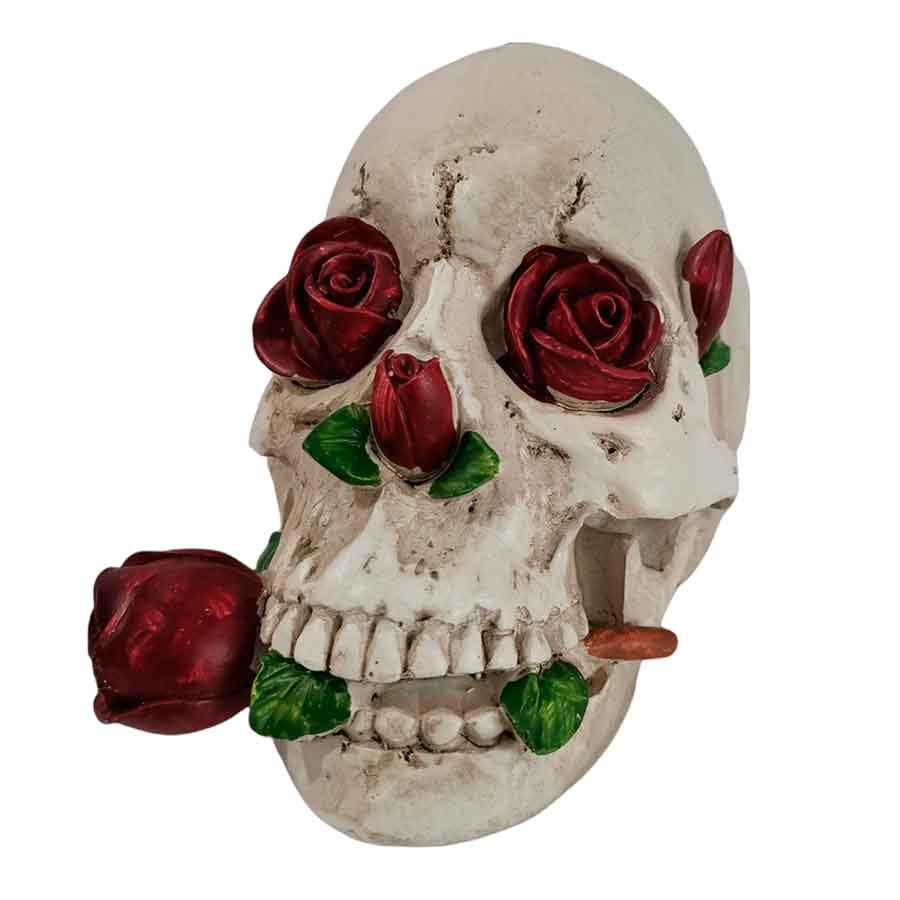 Cráneo con rosa - Galerías el Triunfo - 044071821428