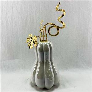 Calabaza de porcelana blanca - Galerías el Triunfo - 044071821449