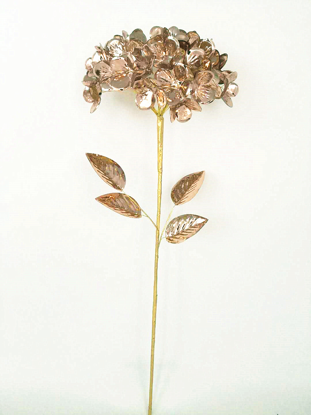Vara de hortensia dorada - Galerías el Triunfo - 049072641184