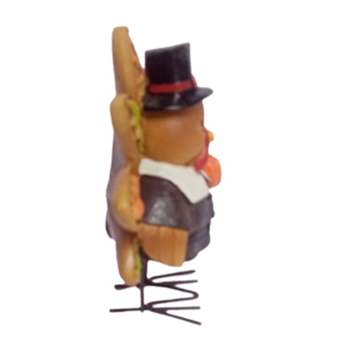 Pavo con sombrero - Image 3