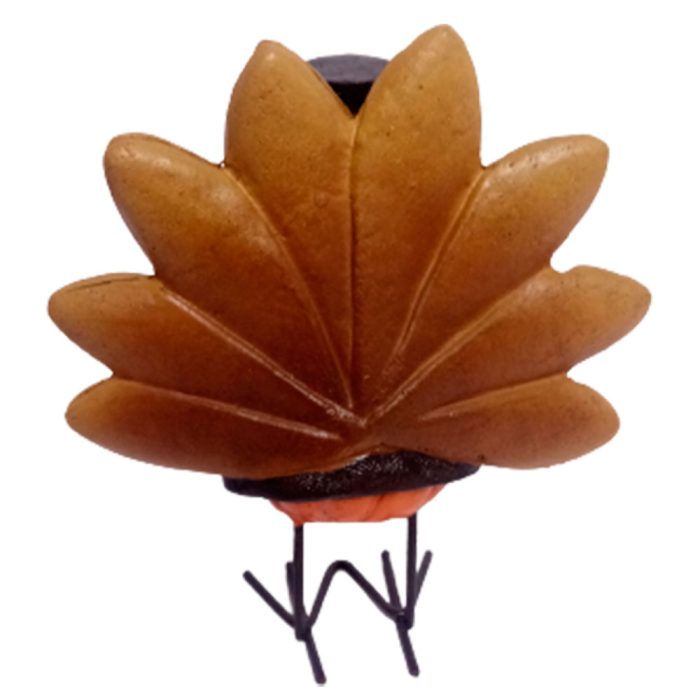 Pavo con sombrero - Image 4
