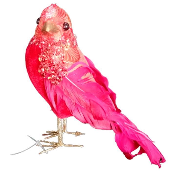 Pájaro forrado de tela - Galerías el Triunfo - 100307378215