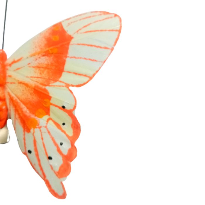 Mariposa naranja con pinza - Image 5
