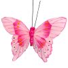 Mariposa rosa con pinza - Galerías el Triunfo - 100307378259
