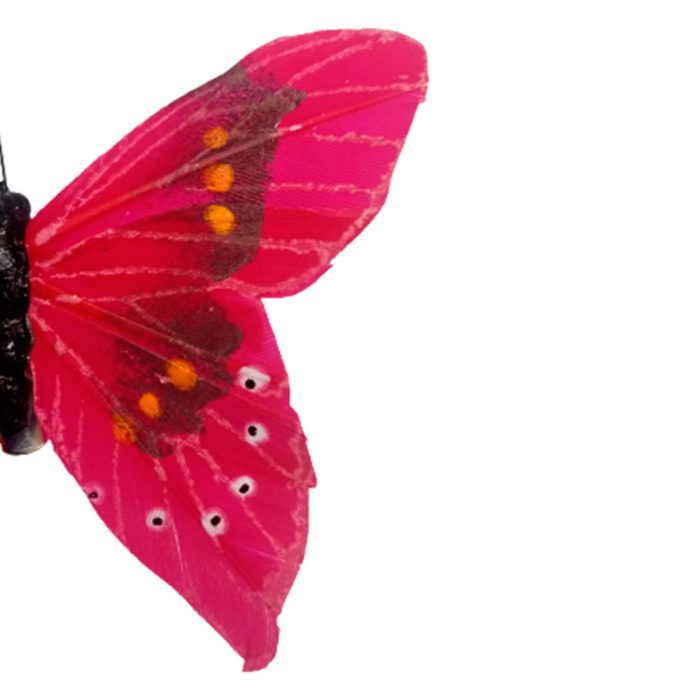 Mariposa roja con pinza - Image 5