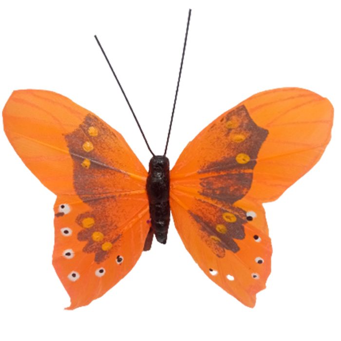 Mariposa naranja con pinza - Galerías el Triunfo - 100307378266