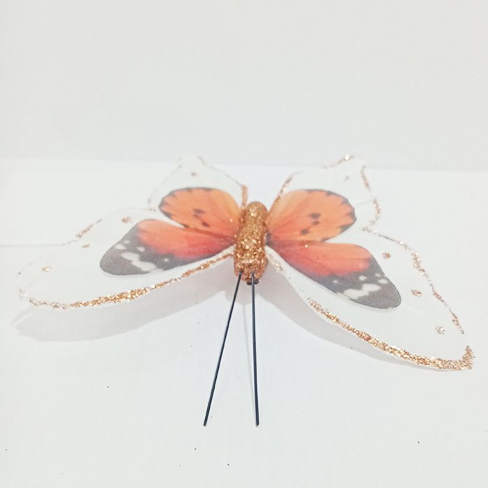Mariposa naranja con blanco - Image 4