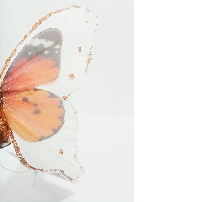 Mariposa naranja con blanco - Image 5