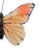 Mariposa café con pinza - Image 5