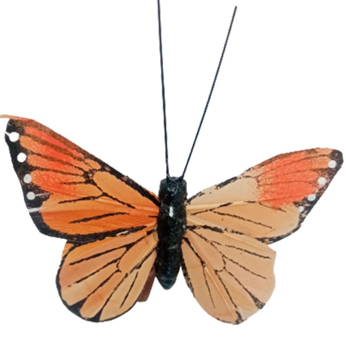 Mariposa café con pinza - Galerías el Triunfo - 100307378307