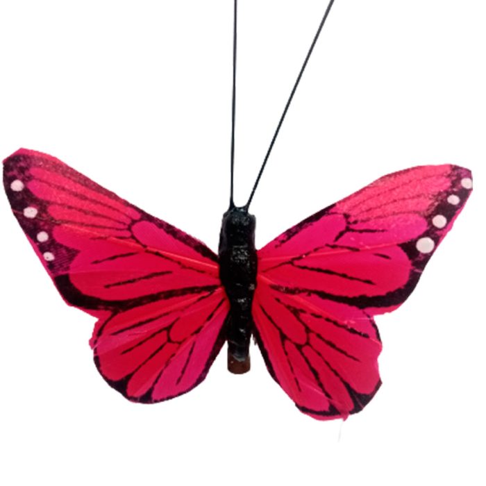 Mariposa roja con pinza - Galerías el Triunfo - 100307378308