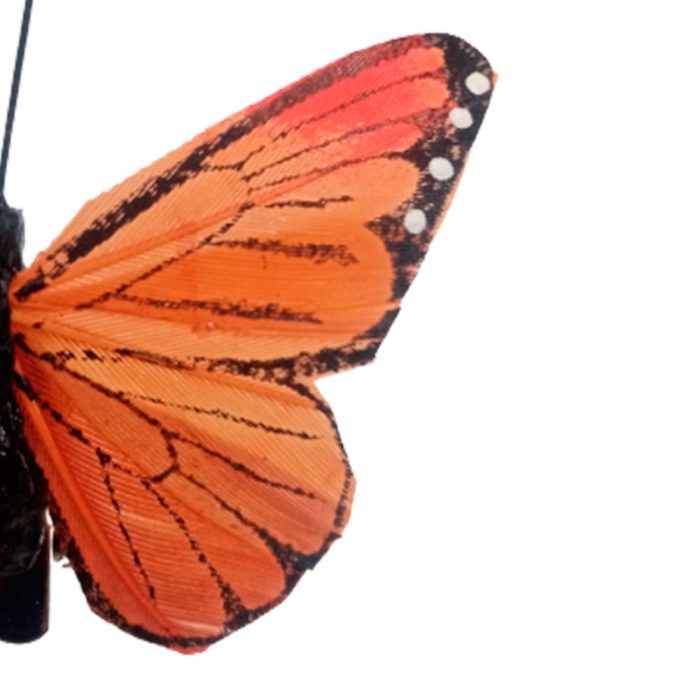Mariposa naranja con pinza - Image 5