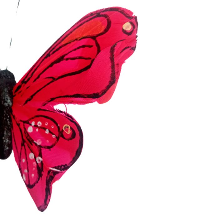 Mariposa roja con pinza - Image 5