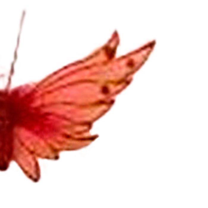 Mariposa roja con pinza - Image 2