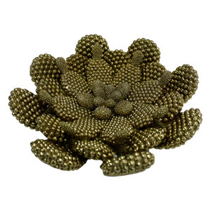 Suculenta de nopales - Galerías el Triunfo - 103072769008