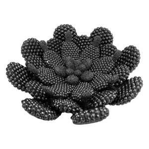 Suculenta de nopales - Galerías el Triunfo - 103072769009